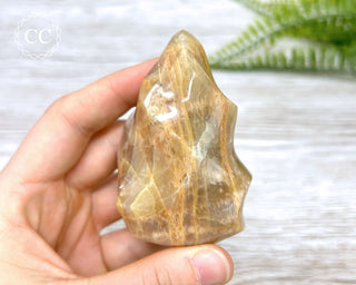 Peach Moonstone Flame #4