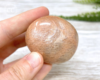 Peach Moonstone Chunky Palm Stone #2