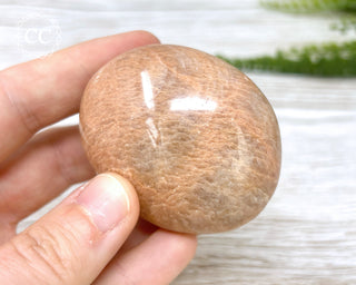 Peach Moonstone Chunky Palm Stone #2