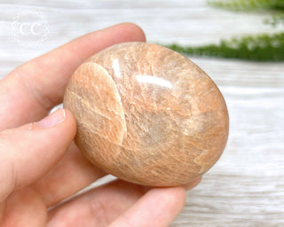 Peach Moonstone Chunky Palm Stone #2