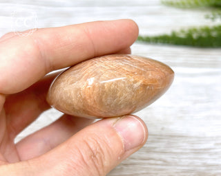 Peach Moonstone Chunky Palm Stone #2