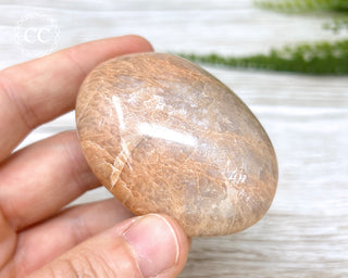 Peach Moonstone Chunky Palm Stone #5