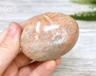 Peach Moonstone Chunky Palm Stone #5
