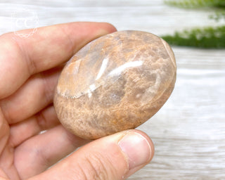 Peach Moonstone Chunky Palm Stone #1