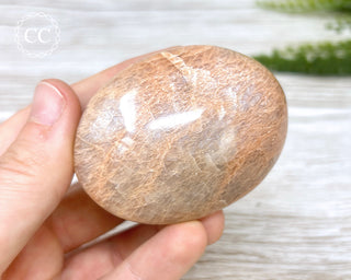Peach Moonstone Chunky Palm Stone #5