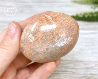 Peach Moonstone Chunky Palm Stone #5