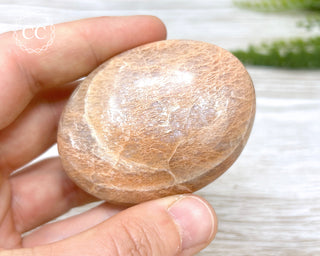 Peach Moonstone Chunky Palm Stone #5