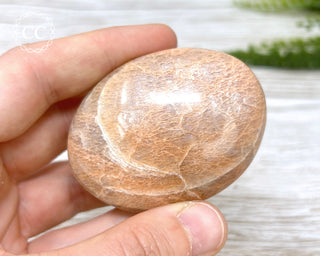Peach Moonstone Chunky Palm Stone #5