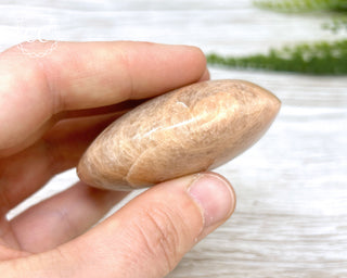 Peach Moonstone Chunky Palm Stone #5