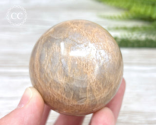 Peach Moonstone Sphere #2