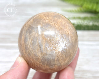 Peach Moonstone Sphere #2