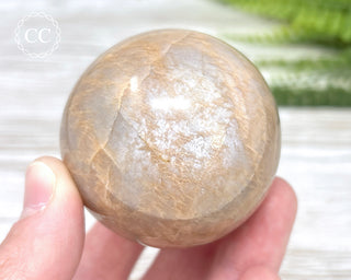 Peach Moonstone Sphere #2