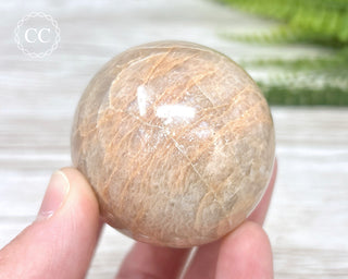 Peach Moonstone Sphere #4