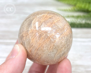 Peach Moonstone Sphere #4
