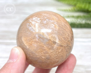 Peach Moonstone Sphere #1