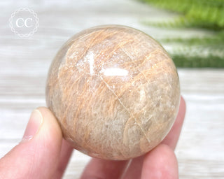 Peach Moonstone Sphere #4