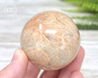 Peach Moonstone Sphere #4