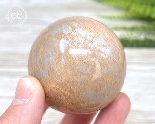 Peach Moonstone Sphere #1
