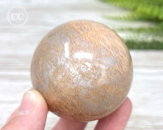 Peach Moonstone Sphere #1