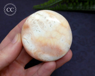 Peach Stilbite Palmstone #6