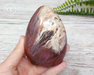 Petrified Wood Freeform #1
