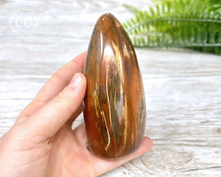 Petrified Wood Freeform #5