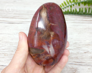 Petrified Wood Freeform #3
