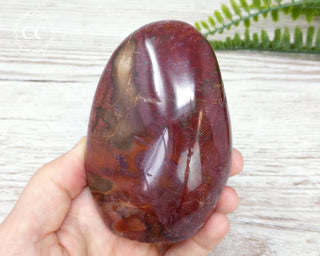 Petrified Wood Freeform #3