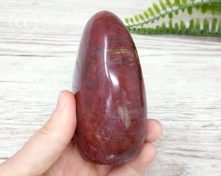 Petrified Wood Freeform #3
