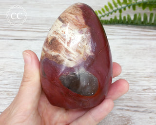 Petrified Wood Freeform #1