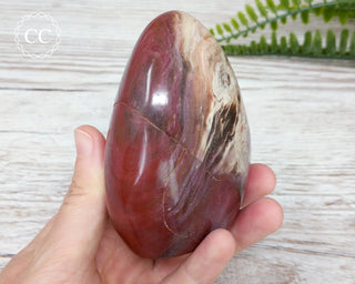 Petrified Wood Freeform #1