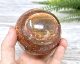 Petrified Wood Sphere #2