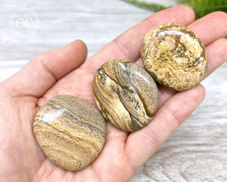 PIcture Jasper Palm Stones in hand