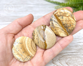 Picture Jasper Palm Stone