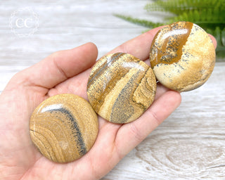 Picture Jasper Palm Stone