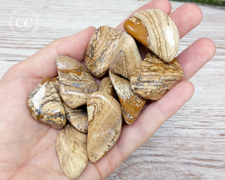 Picture Jasper Tumbled Crystals in hand