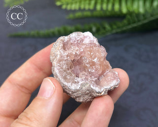 Pink Amethyst Geode #5