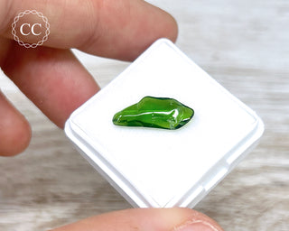 Polished Chrome Diopside #5