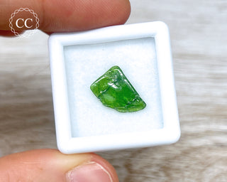 Polished Chrome Diopside #6