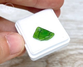 Polished Chrome Diopside #6