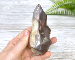 Polychrome Jasper Flame #1