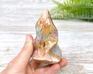 Polychrome Jasper Flame #5