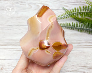 Polychrome Jasper Flame #3