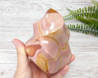 Polychrome Jasper Flame #3