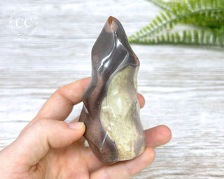 Polychrome Jasper Flame #1