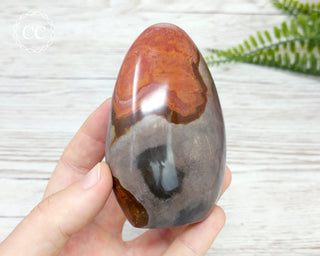 Polychrome Jasper Freeform #3
