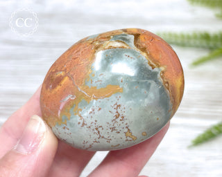 Polychrome Jasper Chunky Palm Stone #1