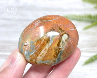 Polychrome Jasper Chunky Palm Stone #1