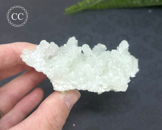 Prehnite Pseudomorph after Laumontite #7