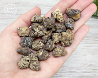 Small Prophecy Stones in hand